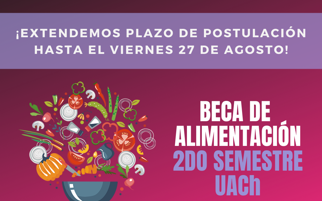¡Atención! Postula a la Beca de Alimentación Segundo Semestre UACh para estudiantes de Pregrado