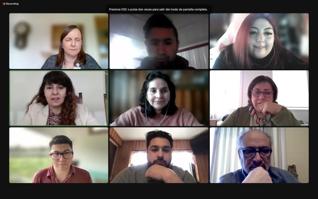 Seminario ampliado DAE – Pregrado: revisa el video completo aquí