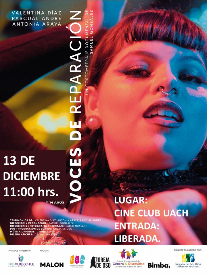 AFICHE documental UACh Final