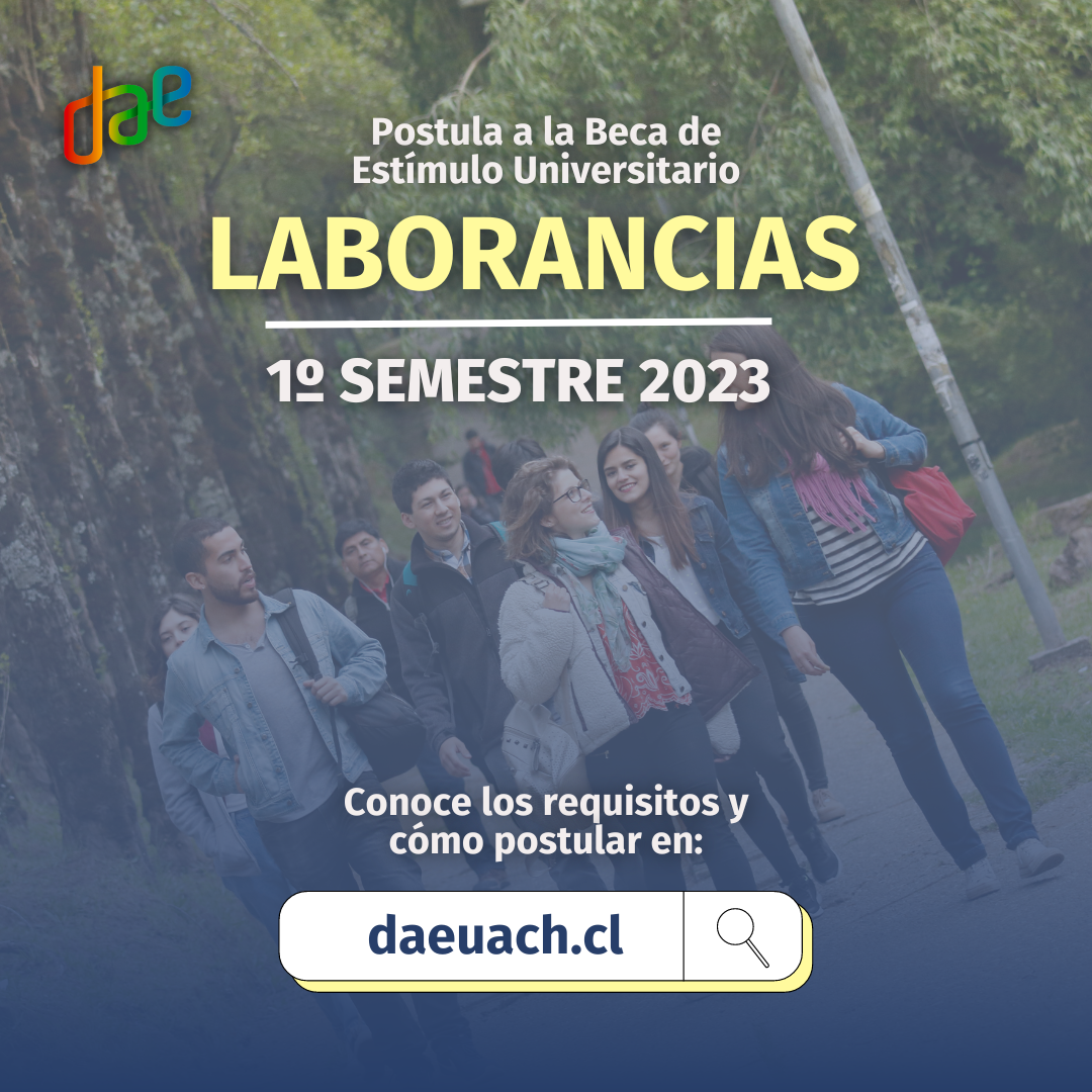 Laborancias 1er semestre 2023