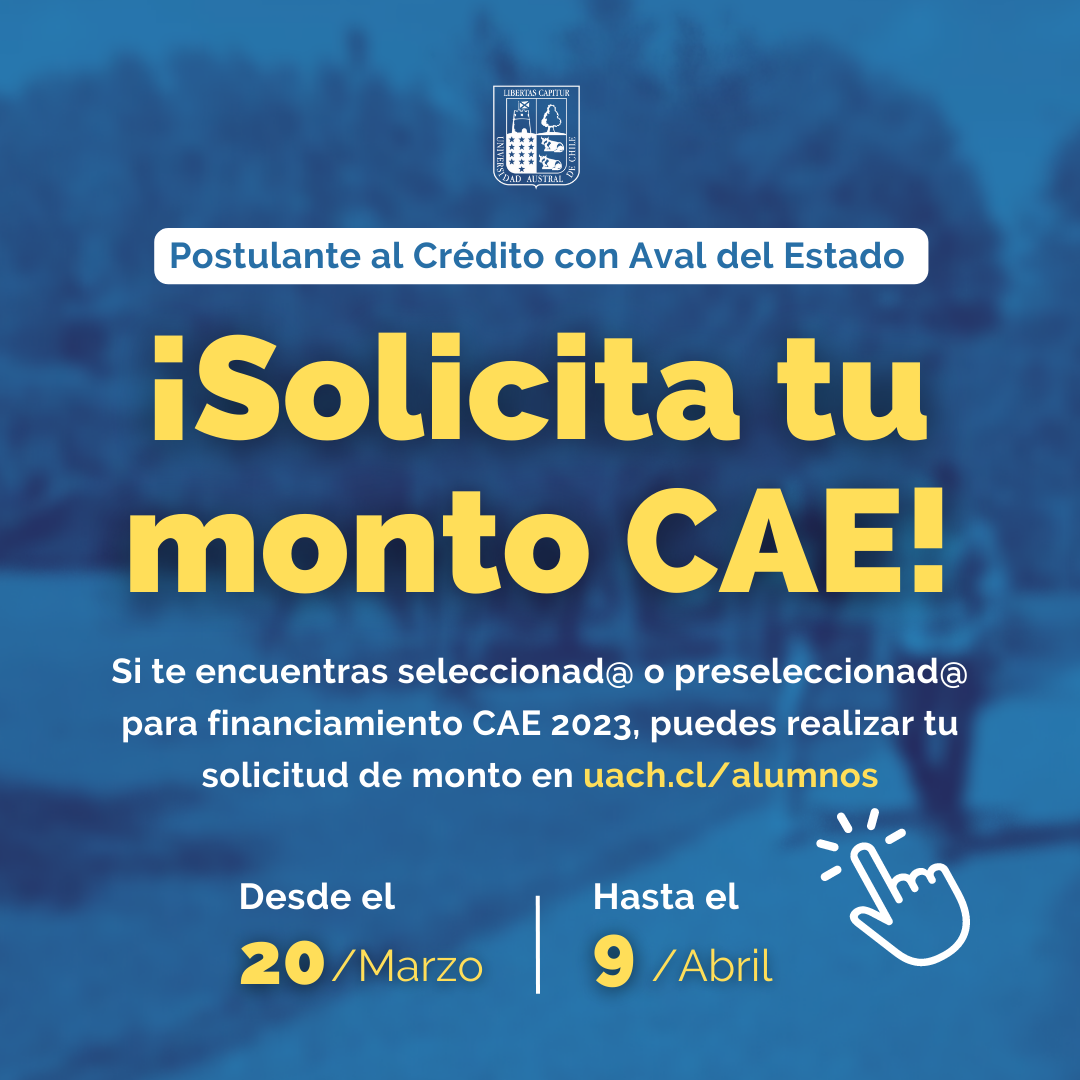 MontoCAE_RRSS