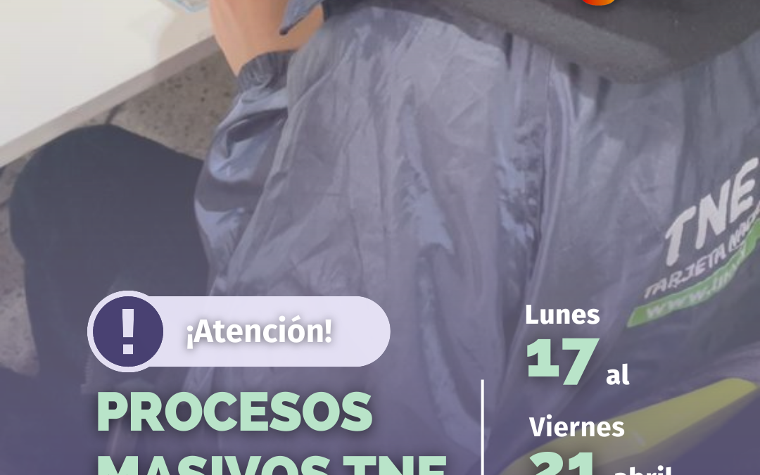 Junaeb realizará procesos masivos TNE