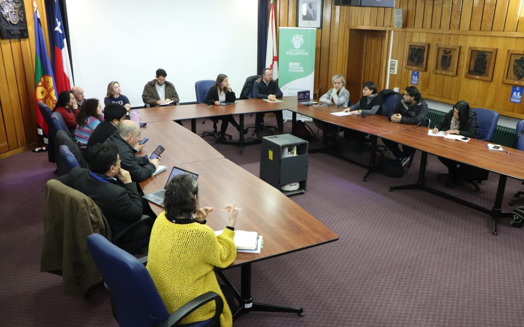 UACh convocó a reunión ampliada para avanzar en seguridad y convivencia vial
