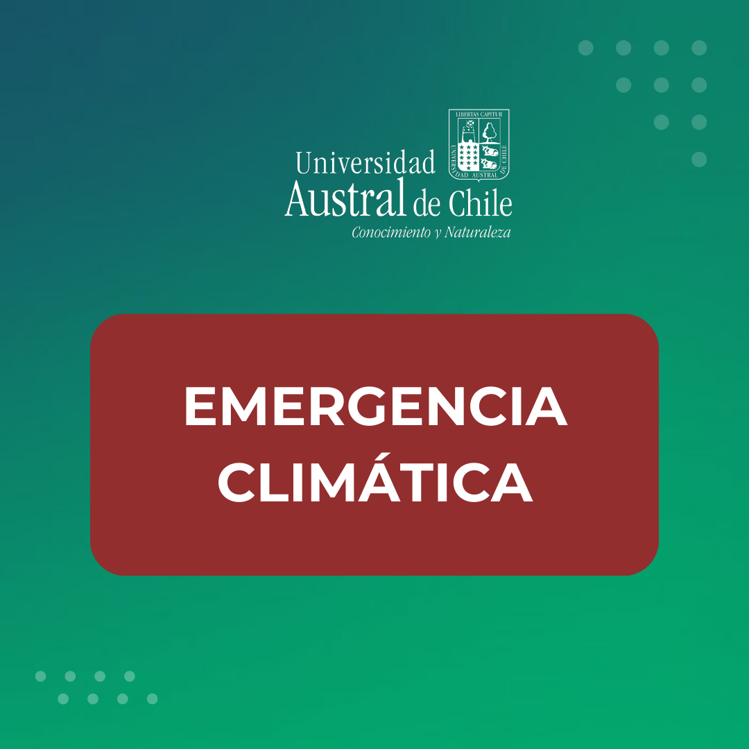 INFORMA-4