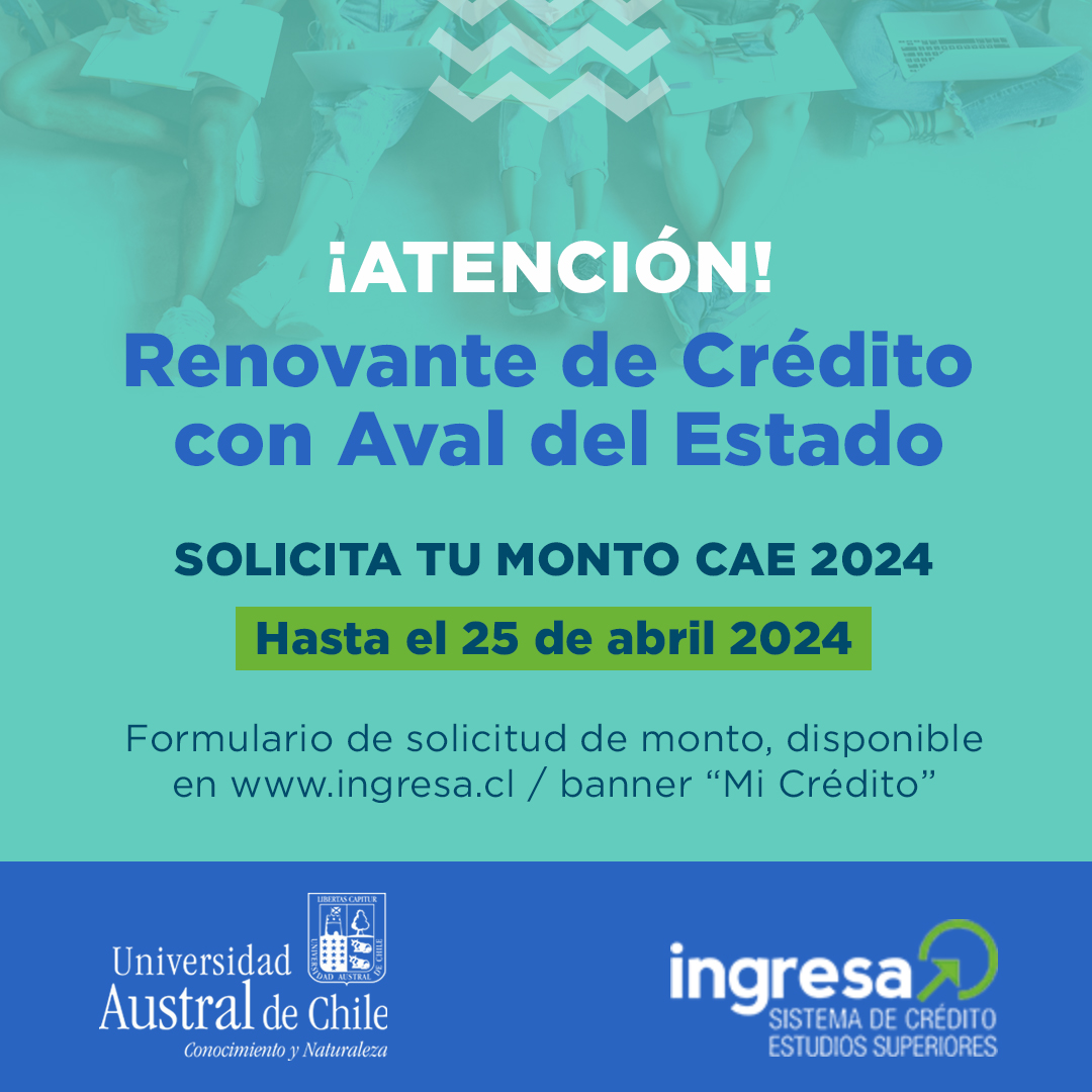 RRSS Renovación CAE 24