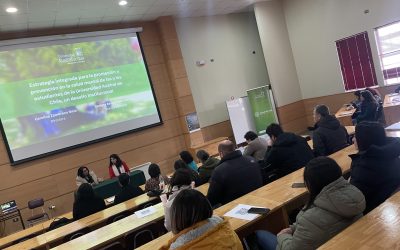 Avanzando en Salud Mental Estudiantil: Proyecto UACh fue presentado en Sede Puerto Montt