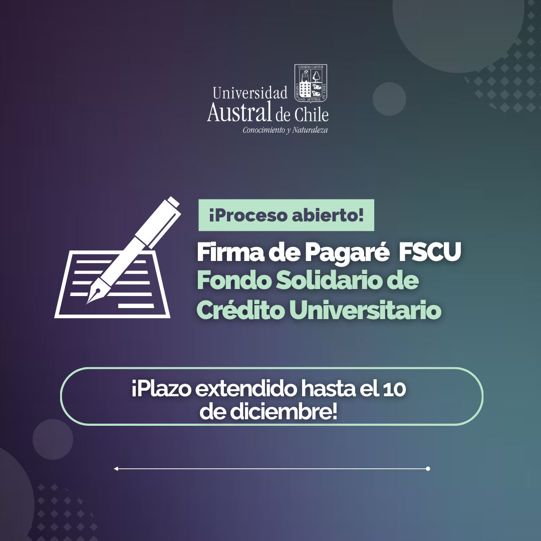 Plazo hasta hoy (4)