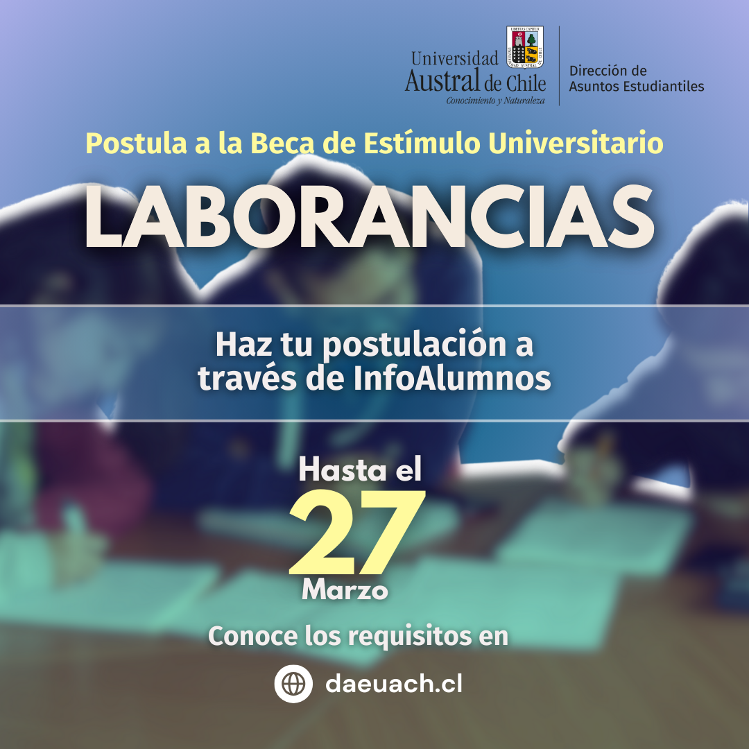 Beca de Alimentación (6)